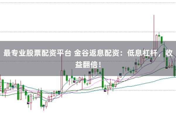最专业股票配资平台 金谷返息配资：低息杠杆，收益翻倍！