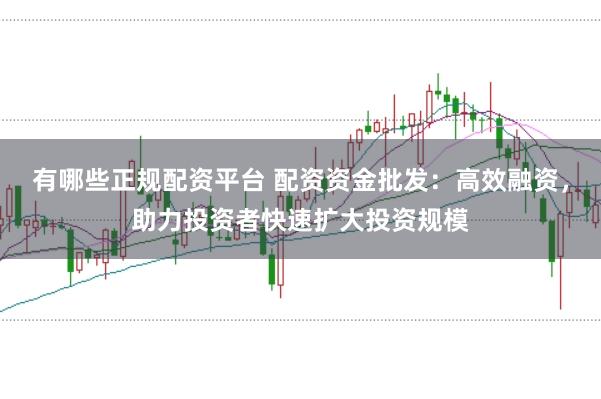 有哪些正规配资平台 配资资金批发：高效融资，助力投资者快速扩大投资规模