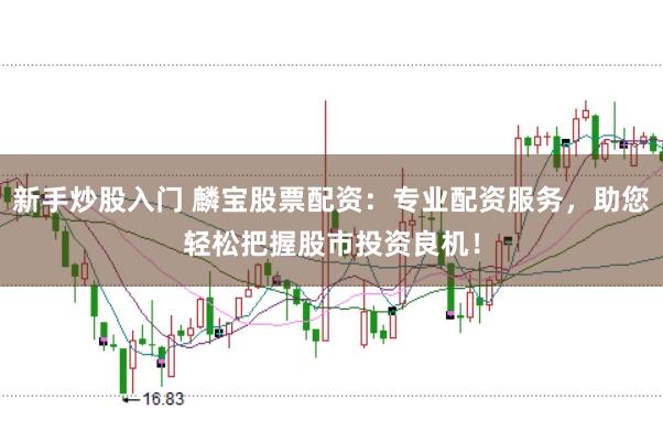 新手炒股入门 麟宝股票配资：专业配资服务，助您轻松把握股市投资良机！